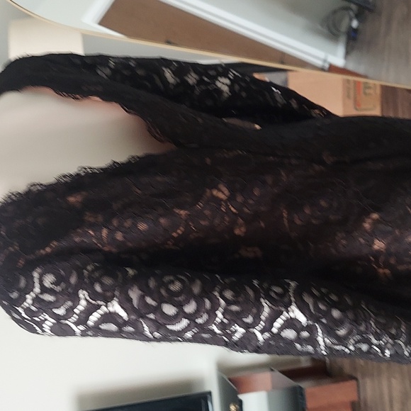 Vera Wang Black & Nude Lace Long Sleeve Double V-Neck Cocktail Dress - Picture 6 of 8